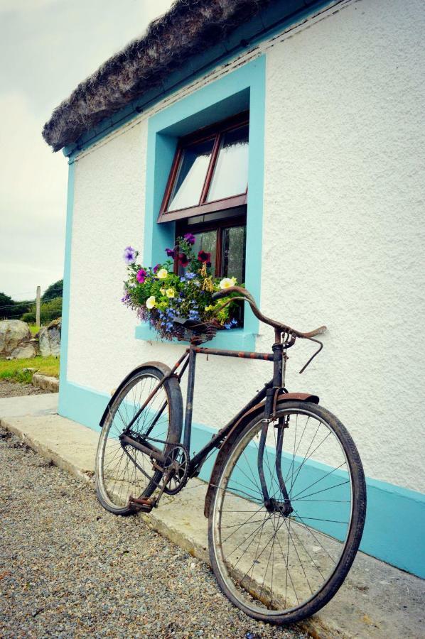 Biddys Cottage カルダフ エクステリア 写真